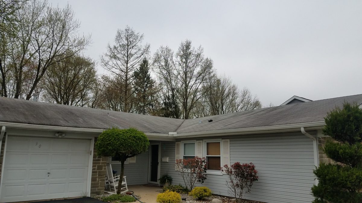 roof cleaning middletown nj